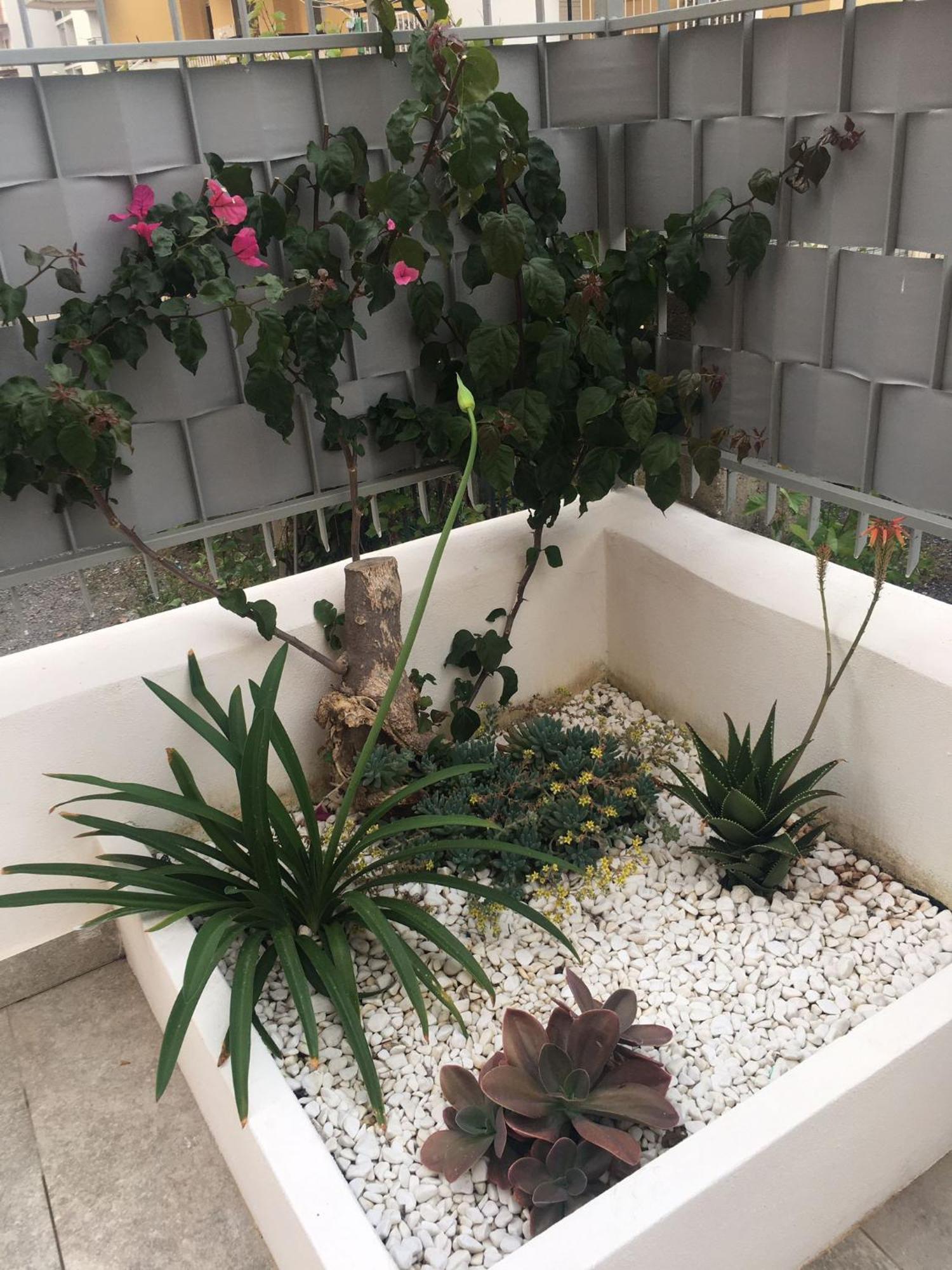 Gilda'S Home Scalea Ngoại thất bức ảnh